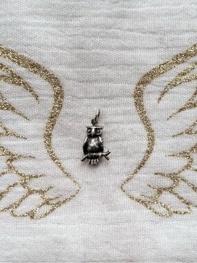 3D Oxidized Sterling Silver  Owl Charm Pendant